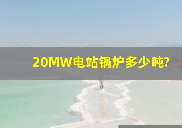 20MW电站,锅炉多少吨?