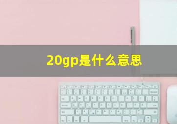 20gp是什么意思