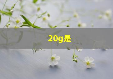 20g是()