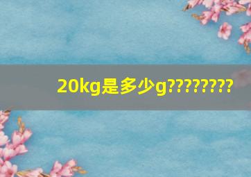 20kg是多少g????????