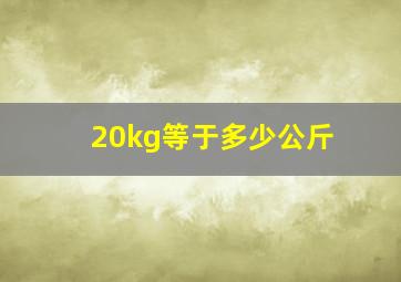 20kg等于多少公斤(