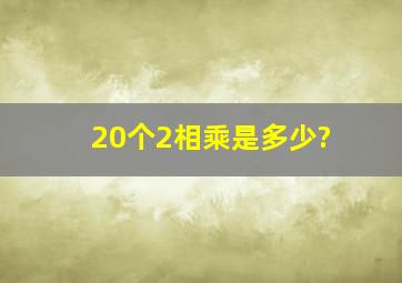 20个2相乘是多少?