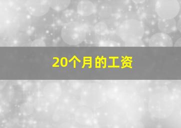 20个月的工资