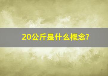 20公斤是什么概念?