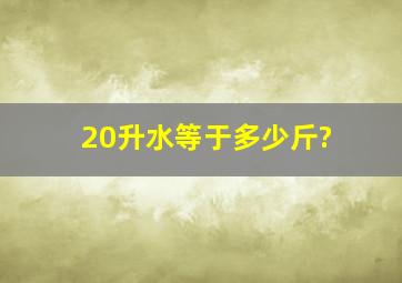 20升水等于多少斤?