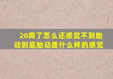 20周了。怎么还感觉不到胎动,到底胎动是什么样的感觉