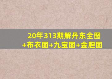 20年313期解丹东全图+布衣图+九宝图+金胆图