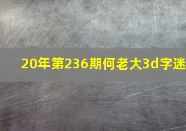 20年第236期何老大3d字迷