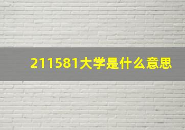 211581大学是什么意思(