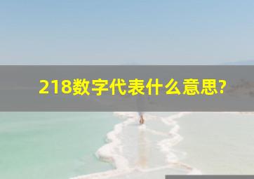 218数字代表什么意思?