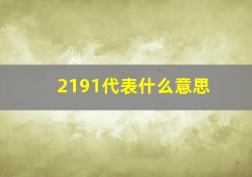 2191代表什么意思