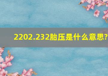 2202.232胎压是什么意思?