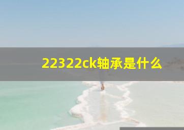 22322ck轴承是什么