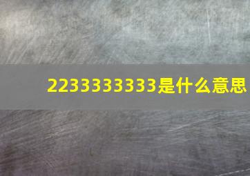 2233333333是什么意思