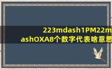 223—1PM22—OXA8个数字代表啥意思?