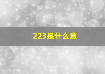 223是什么意(