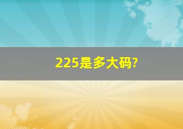 225是多大码?