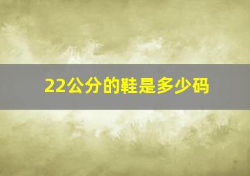 22公分的鞋是多少码