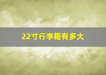 22寸行李箱有多大 