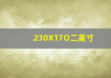 230X17O二英寸