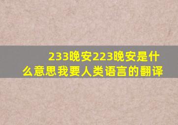 233晚安223晚安。是什么意思,我要人类语言的翻译。