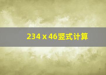 234ⅹ46竖式计算