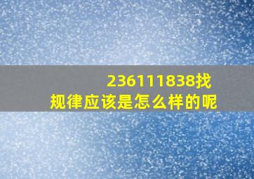 236111838找规律应该是怎么样的呢