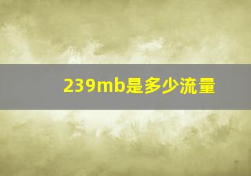 239mb是多少流量(