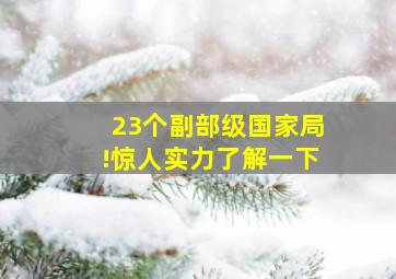 23个副部级国家局!惊人实力,了解一下