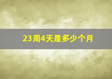 23周4天是多少个月(