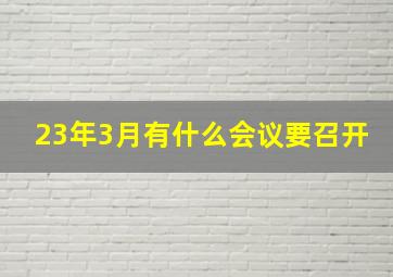 23年3月有什么会议要召开