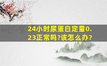 24小时尿蛋白定量0.23,正常吗?该怎么办?