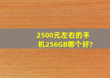 2500元左右的手机,256GB哪个好?