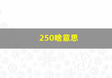 250啥意思