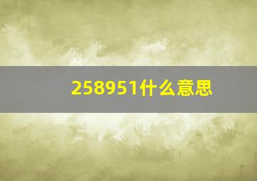 258951什么意思