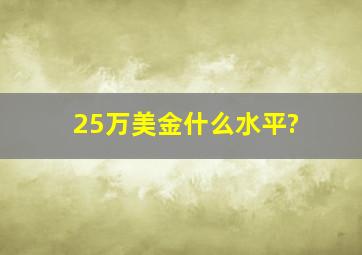 25万美金什么水平?