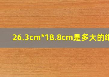 26.3cm*18.8cm是多大的纸张