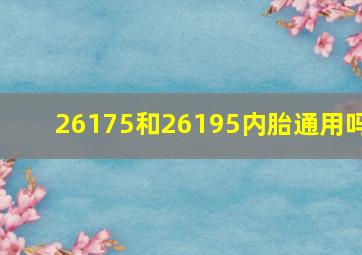 26175和26195内胎通用吗