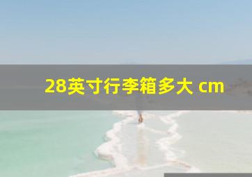 28英寸行李箱多大 cm