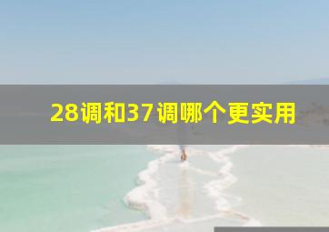 28调和37调哪个更实用(