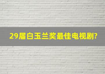 29届白玉兰奖最佳电视剧?