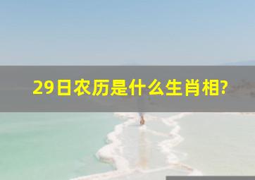 29日农历是什么生肖相?