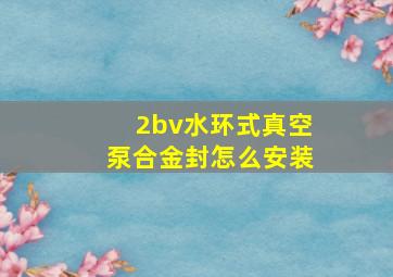 2bv水环式真空泵合金封怎么安装