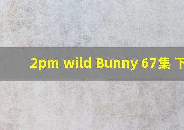 2pm wild Bunny 6,7集 下载