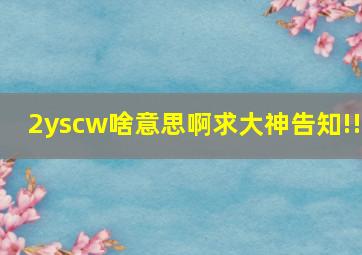 2yscw啥意思啊,求大神告知!!