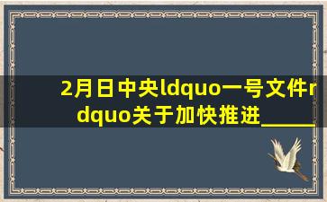 2月日,中央“一号文件”《关于加快推进________持续增强农产品...