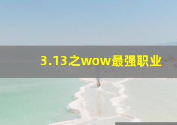 3.13之wow最强职业