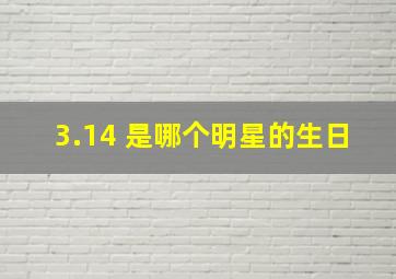 3.14 是哪个明星的生日