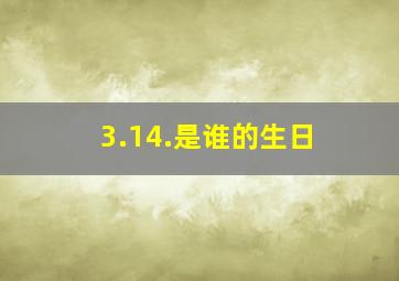 3.14.是谁的生日