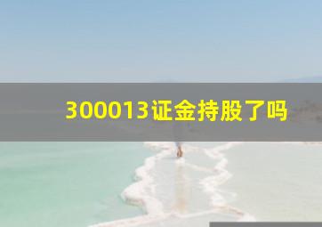 300013证金持股了吗